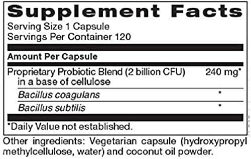 Bio Spore Broad Spectrum Probiotic | Soil-Based (SBO) & Shelf-Stable 120 Vegetarian Capsules