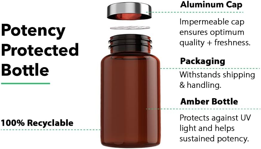 Vitamin Bounty Elderberry Organic Elderberry Capsules for Adults 60 Capsule