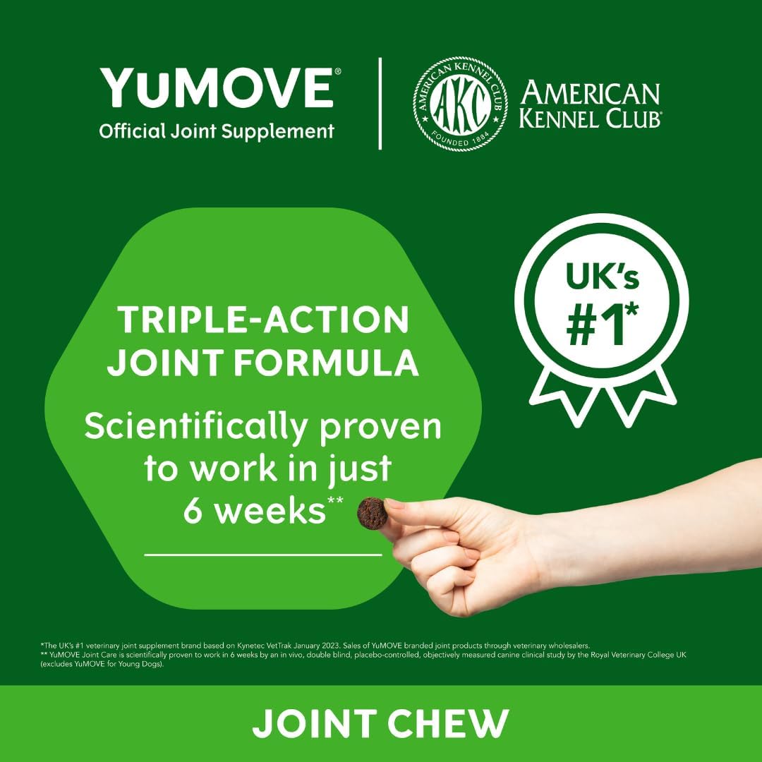 YuMOVE Daily Chews | Hip and Joint Supplement Green Lipped Mussel 60 Chews