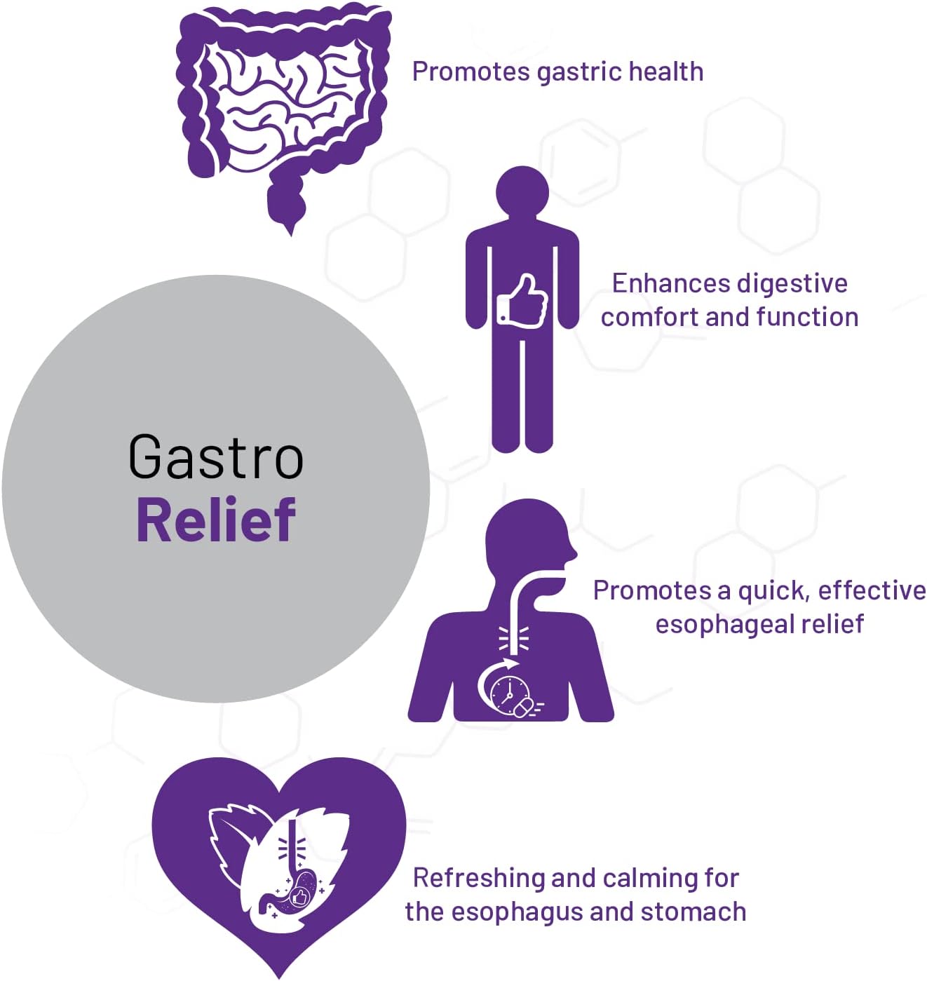 AOR, Gastro Relief, Natural Supplement 60 Capsules