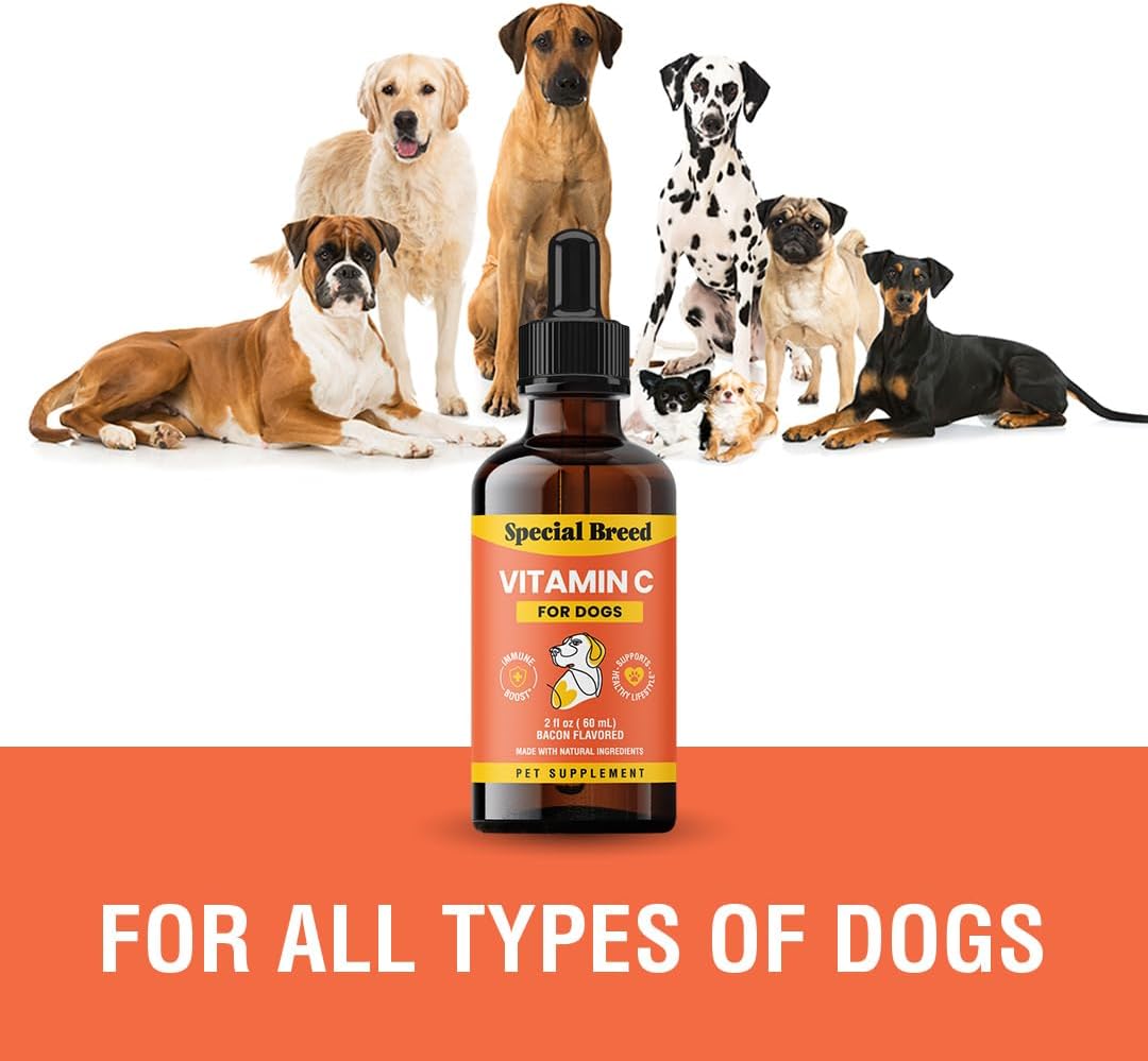 Vitamin C for Dogs, Helps Support Immune System Bacon Flavored, 2oz