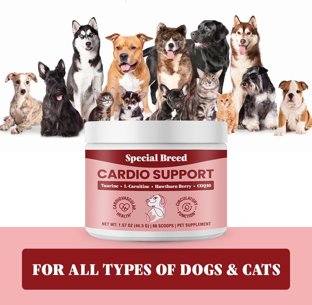 Special Breed Cardio Support for Dogs - Heart Health Support 60 Scoops, 1.57 oz
