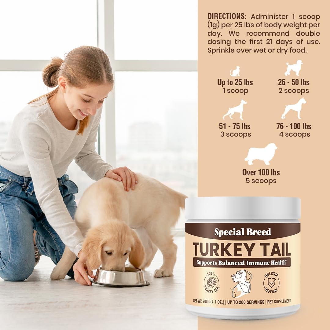 Turkey Tail Mushroom for Dogs - Organic Turkey Tail for Dogs Mushroom Powder 7.1 oz