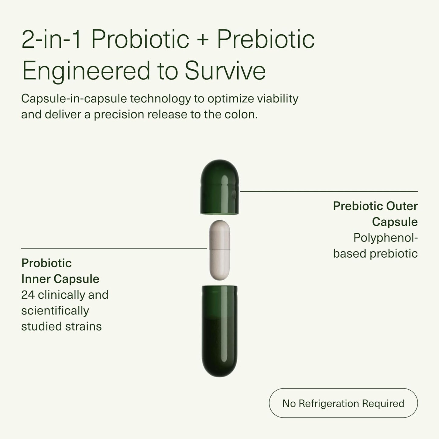 Seed DS-01 Daily Synbiotic - Prebiotic and Probiotic (60 Capsules)