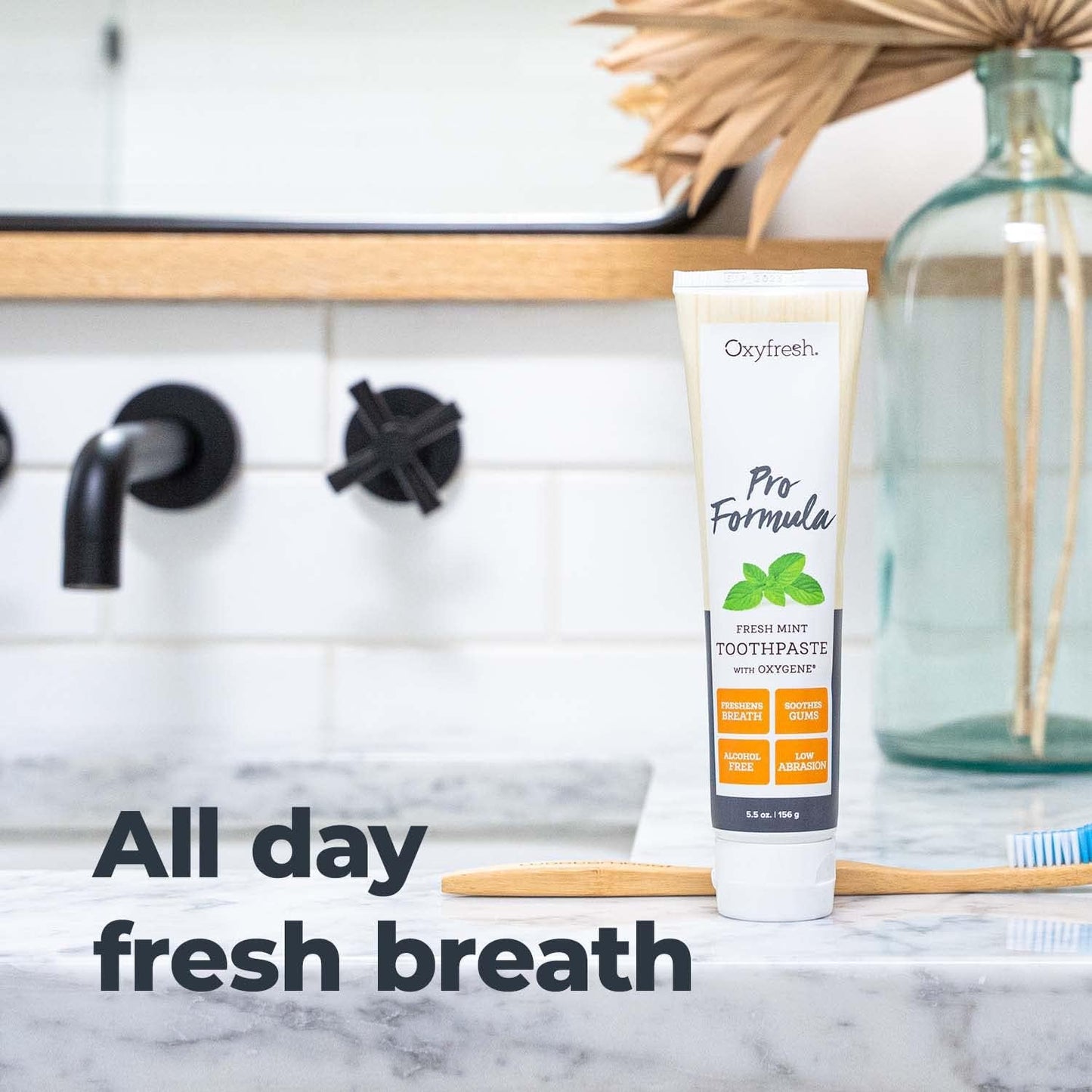 Oxyfresh Pro Formula Fresh Mint Toothpaste –5.5 oz.