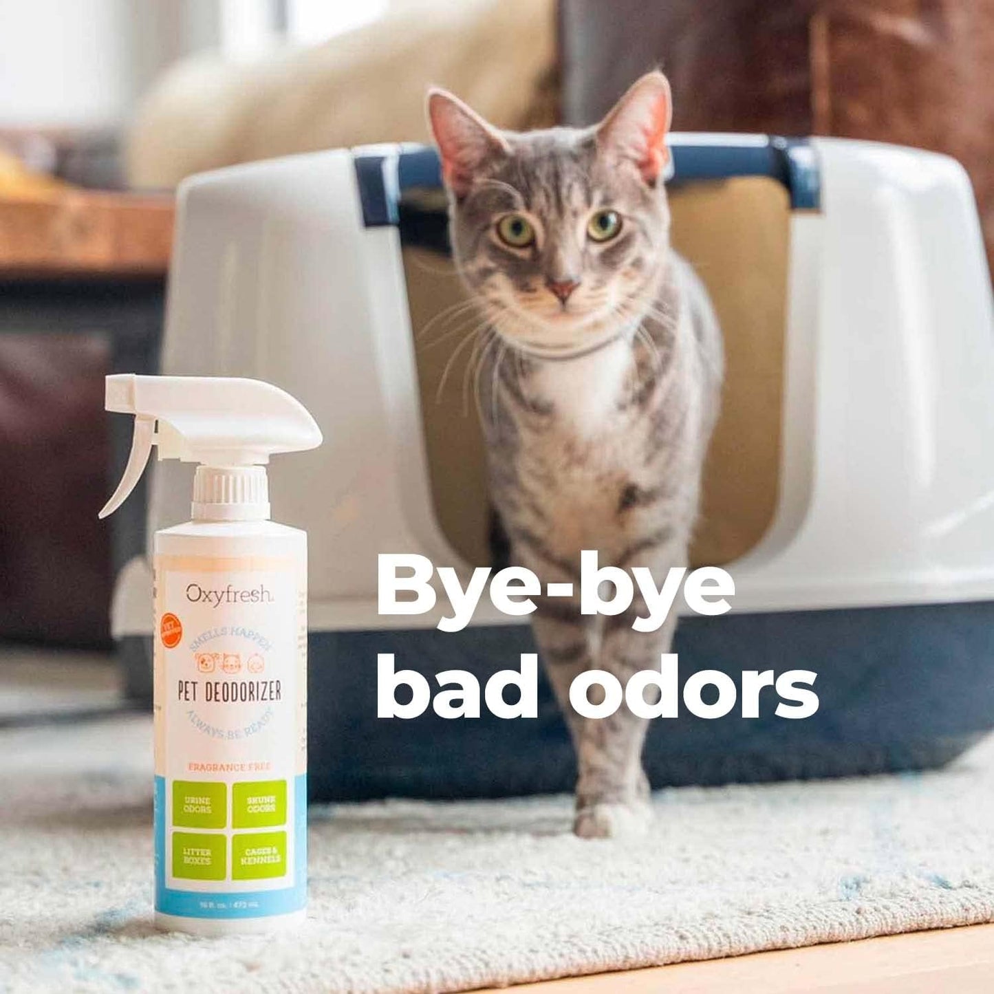 Oxyfresh Premium Pet Odor Eliminator 16 oz.