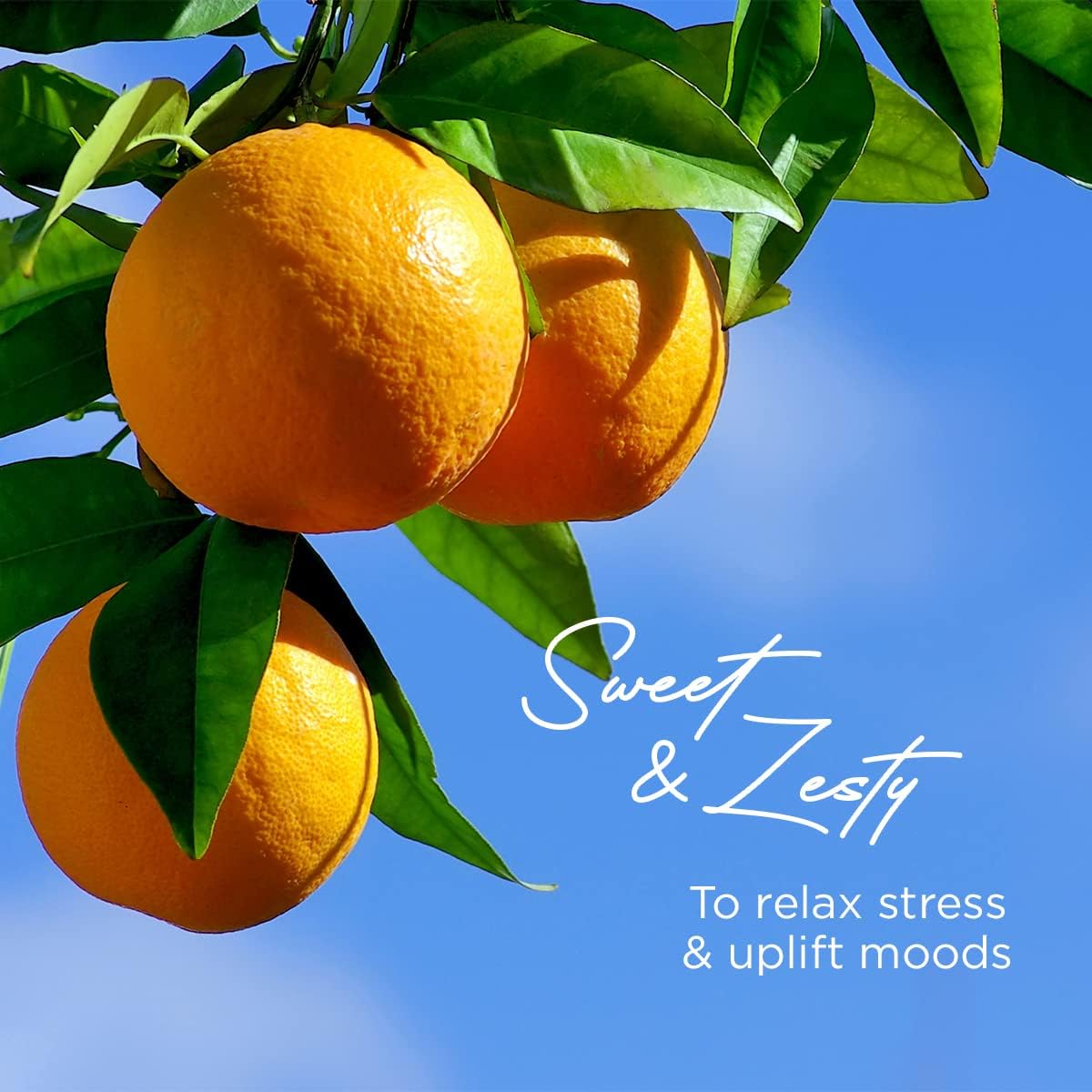 Gya Labs Sweet Orange Essential Oil Roll-On - Sweet, Citrusy Scent