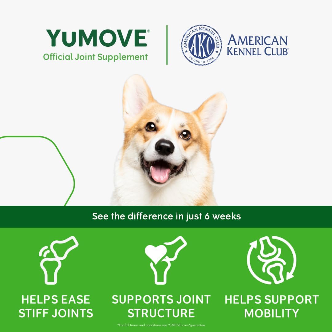 YuMOVE Daily Chews | Hip and Joint Supplement Green Lipped Mussel 60 Chews