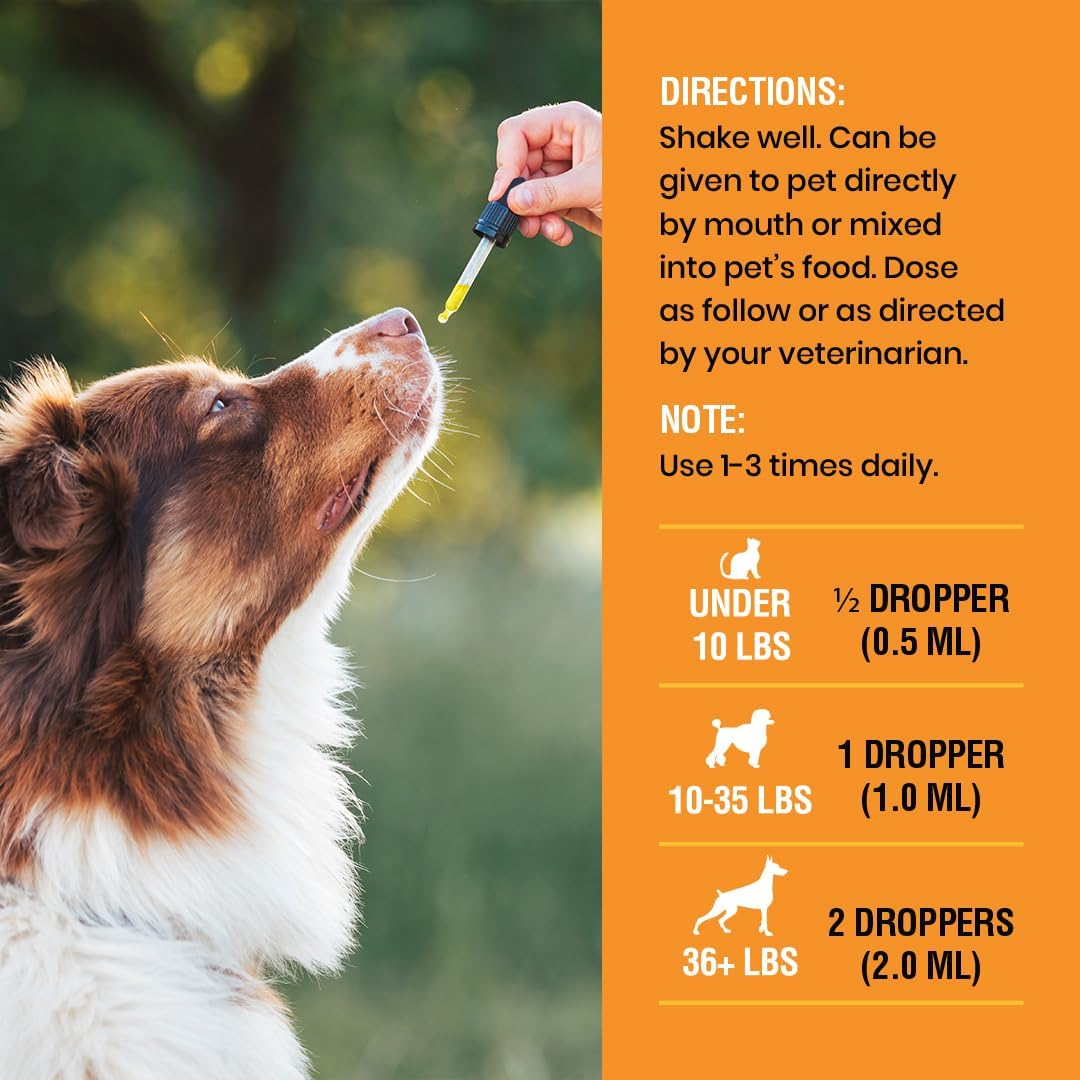 10-in-1 Liquid Multivitamin for Dogs and Cats -2 oz