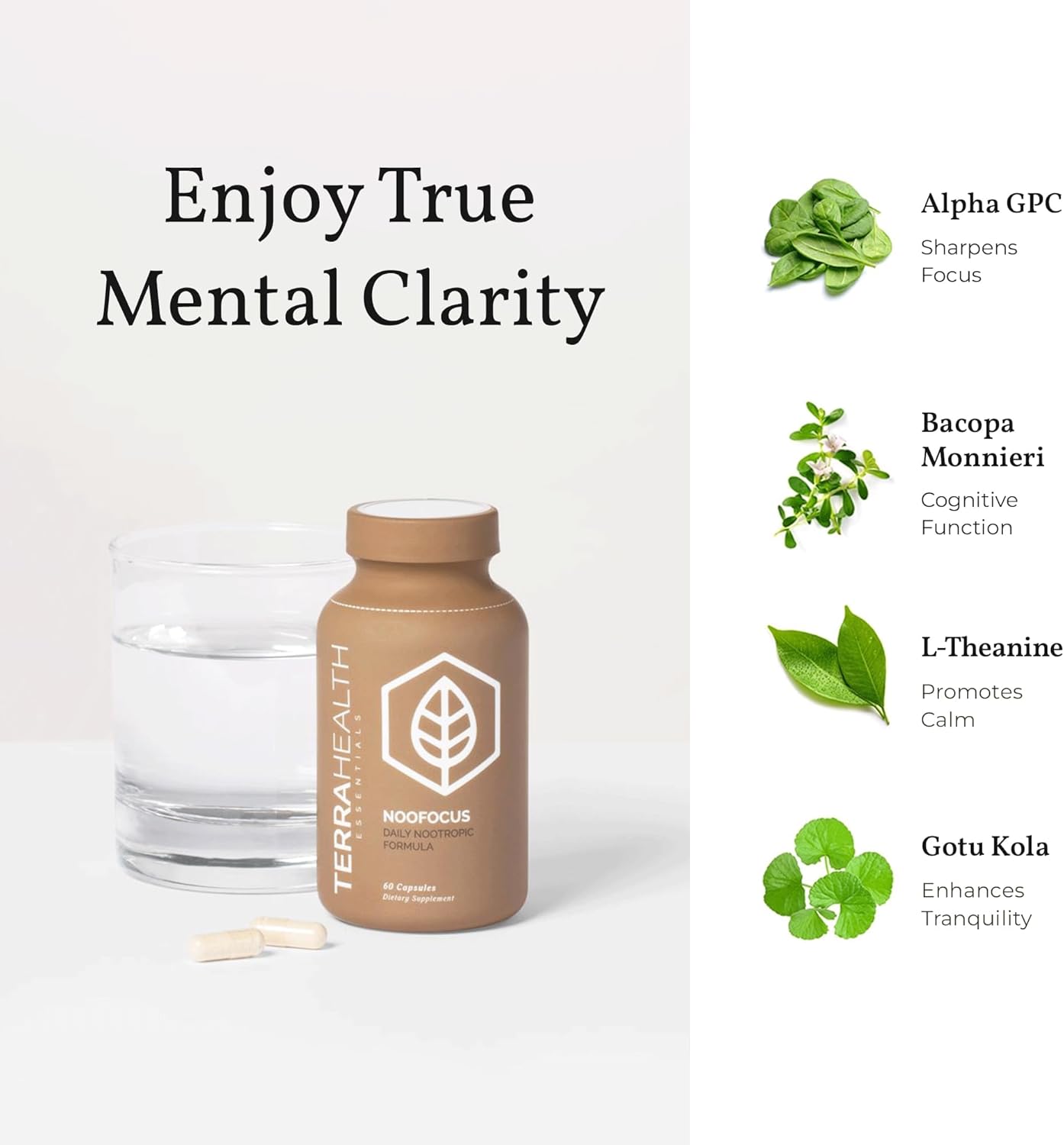 Terra Health Essentials NOOFOCUS -60 capsules