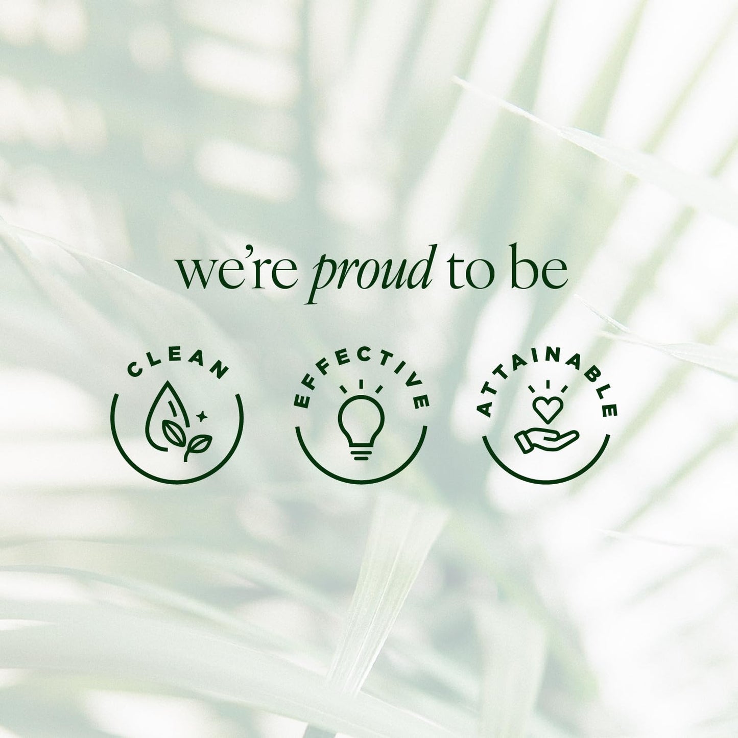 Tree of Life Hydrating and Moisturizing Face Cream