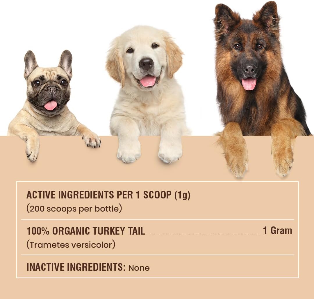 Turkey Tail Mushroom for Dogs - Organic Turkey Tail for Dogs Mushroom Powder 7.1 oz