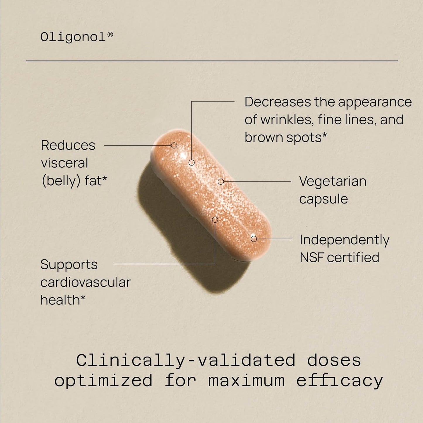 Quality of Life - Premium Anti Aging Supplement- Promotes Cardiovascular Health, Circulation & Youth - Oligonol - 30 Vegicaps