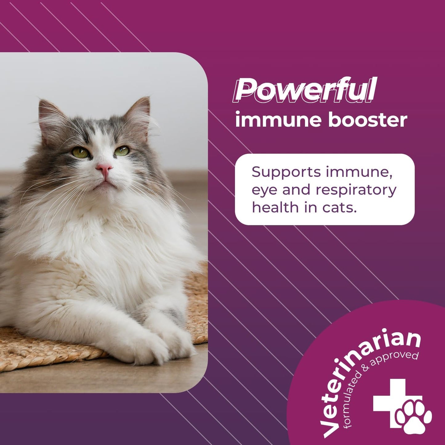 VetriScience Vetri Lysine Plus Immune Support Cat Supplements - 120 Chews