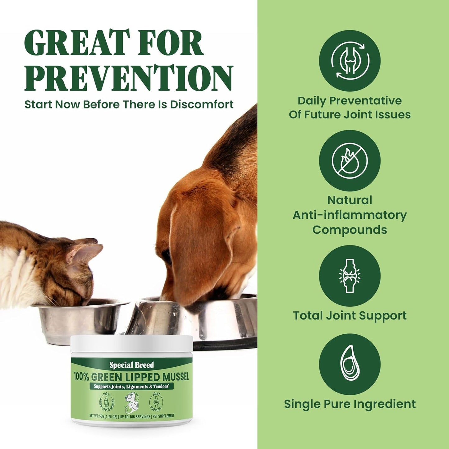 Green Lipped Mussel Powder for Dogs & Cats -1.76 oz
