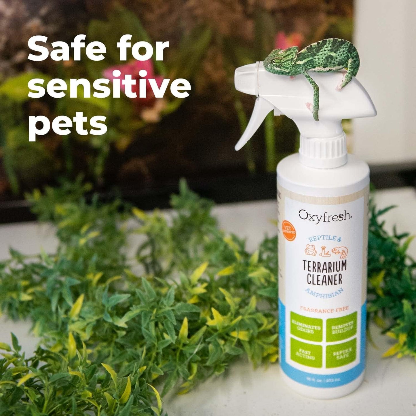 Oxyfresh Premium Terrarium Cleaner –Professional Amphibian & Reptile