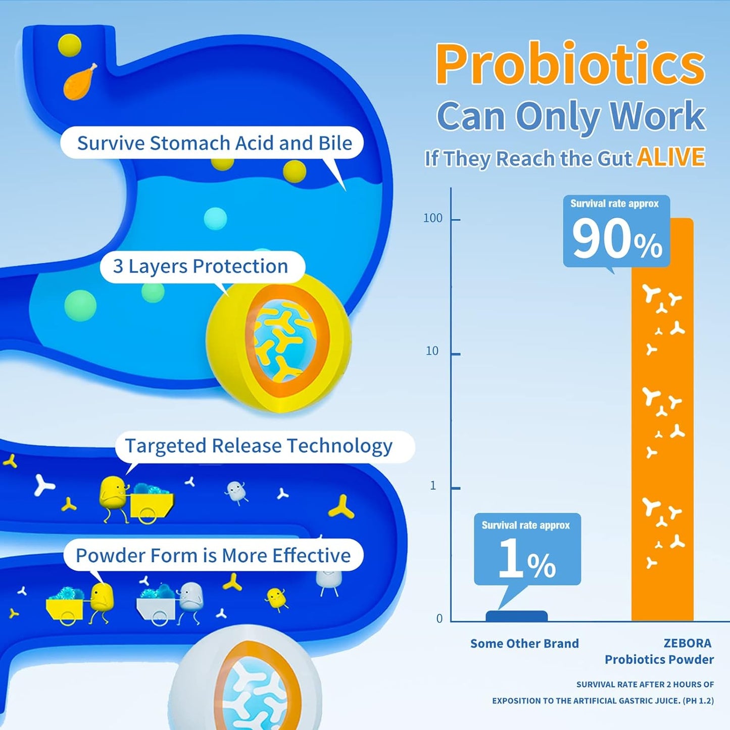 ZEBORA Probiotics for Women, Men and Kids,30 Packets