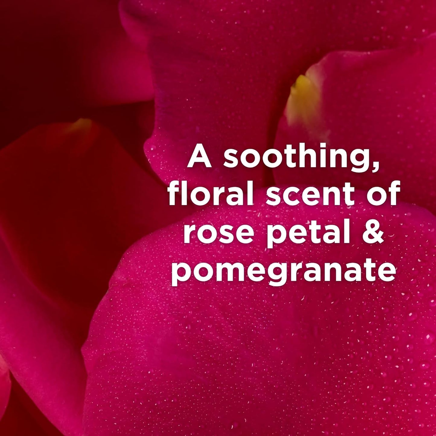 Andalou Naturals 1000 Roses Soothing Body Lotion, 32 Fl.
