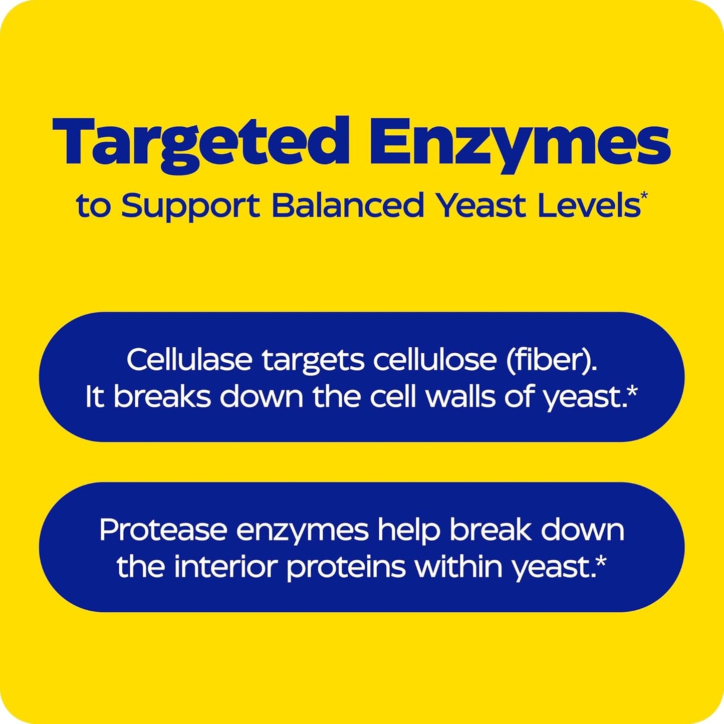 Enzymedica, Candidase, Digestive Enzymes Gut Health & Digestion, 42 Count