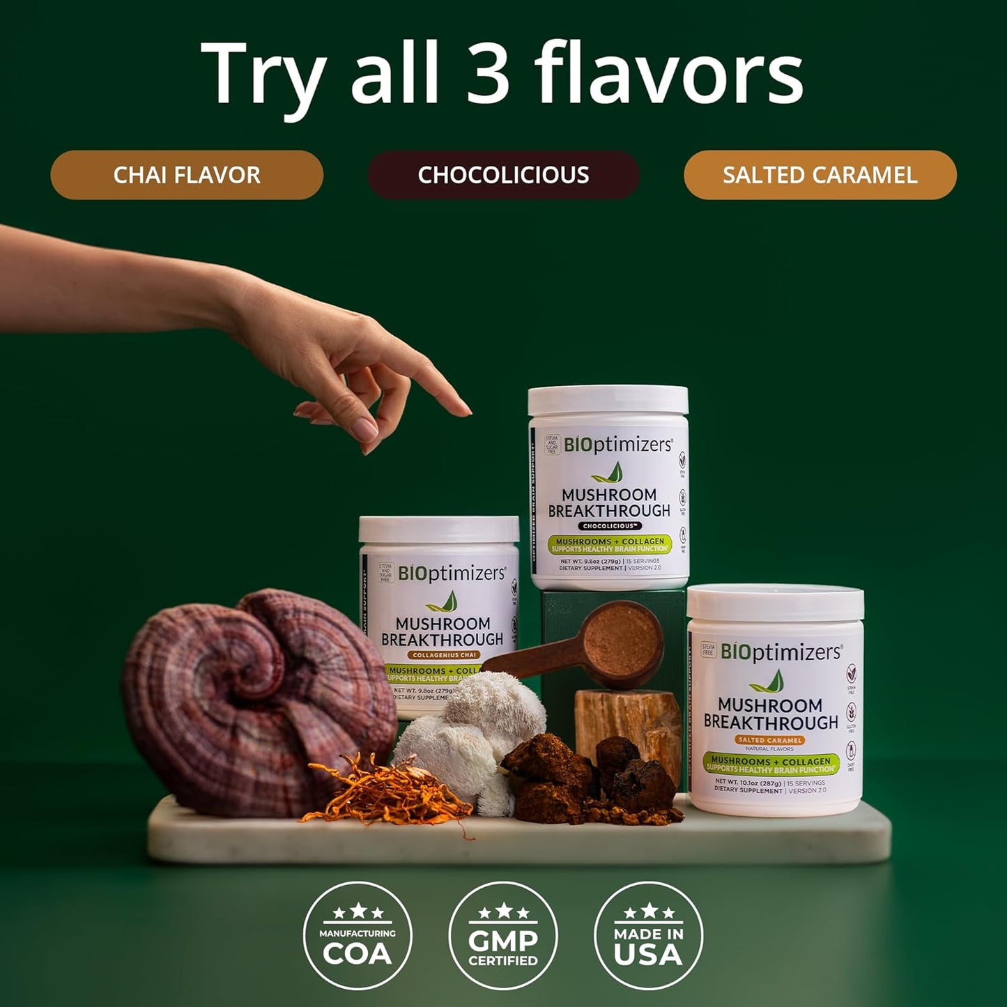 BiOptimizers – Mushroom Breakthrough - Salted Carame -286 g