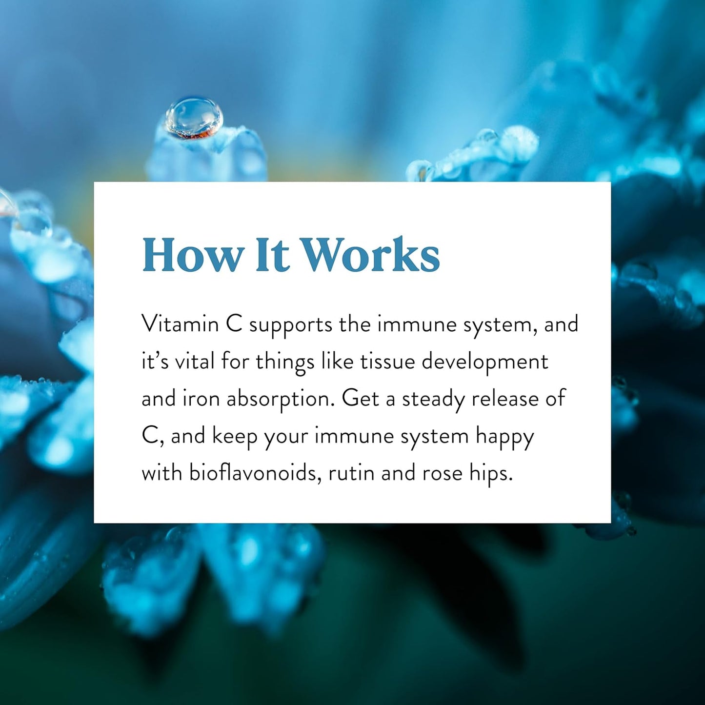 Natures Sunshine Vitamin C 1000 mg, 120 Tablets