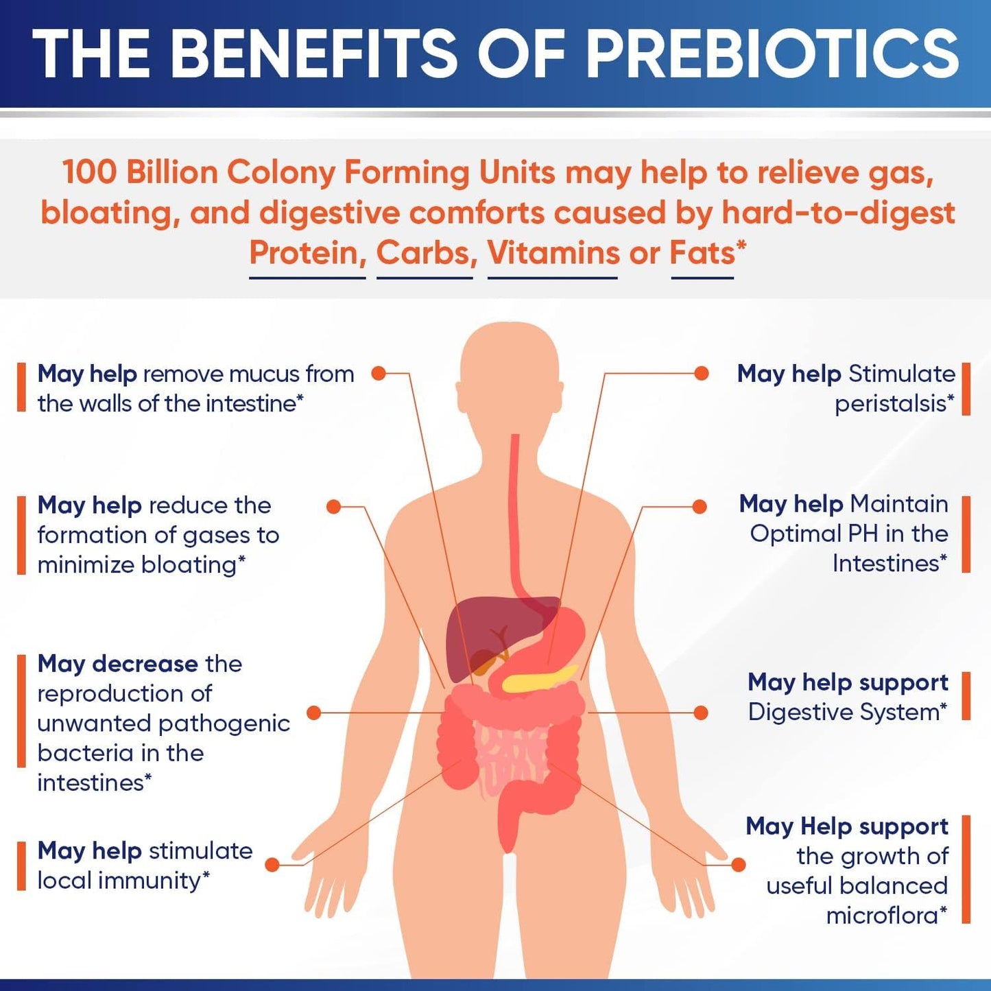 Organic Probiotics 100 Billion CFU 30 count