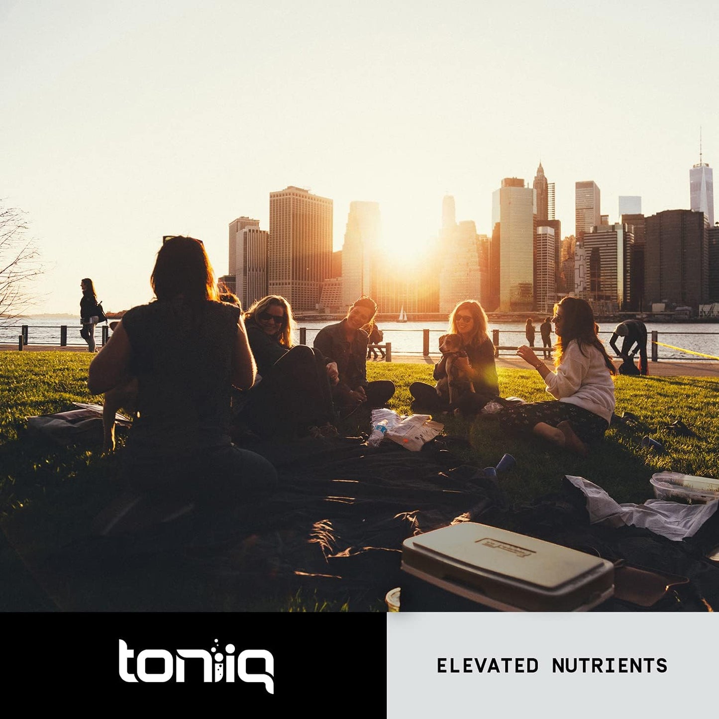 Toniiq Ultra High Strength Berberine HCl 500mg from The Himalayas - 90 Veggie Capsules