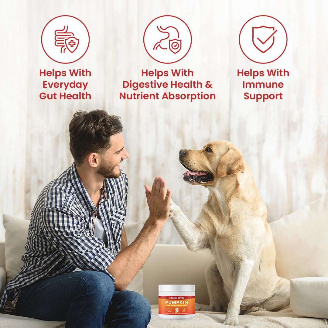 3-in-1 Pumpkin Powder for Dogs - 16 oz
