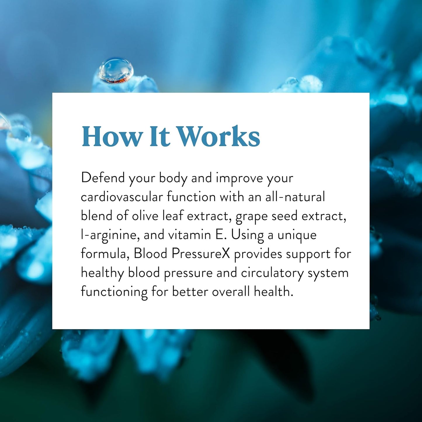 Nature's Sunshine Blood Pressurex 60 Capsules