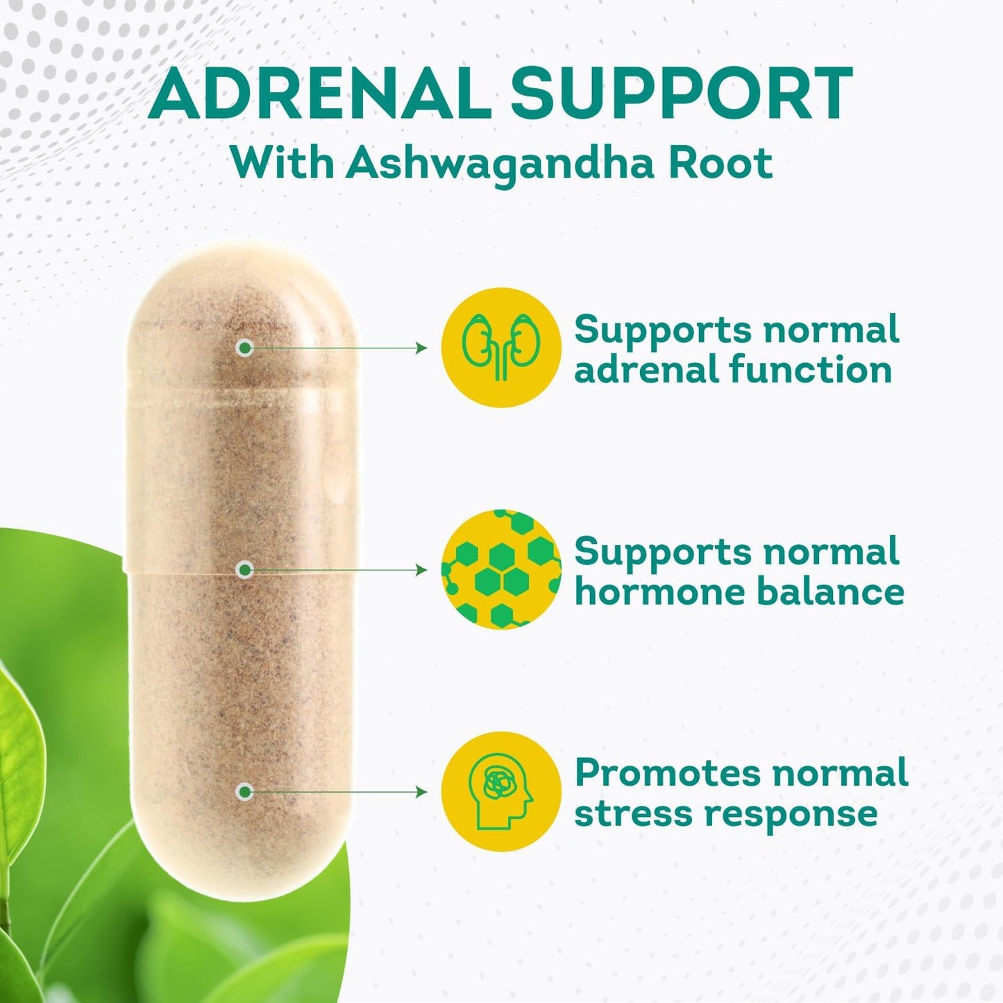 PurePremium Adrenal Support Supplements with Ashwagandha Root Extract - 60 Capsules