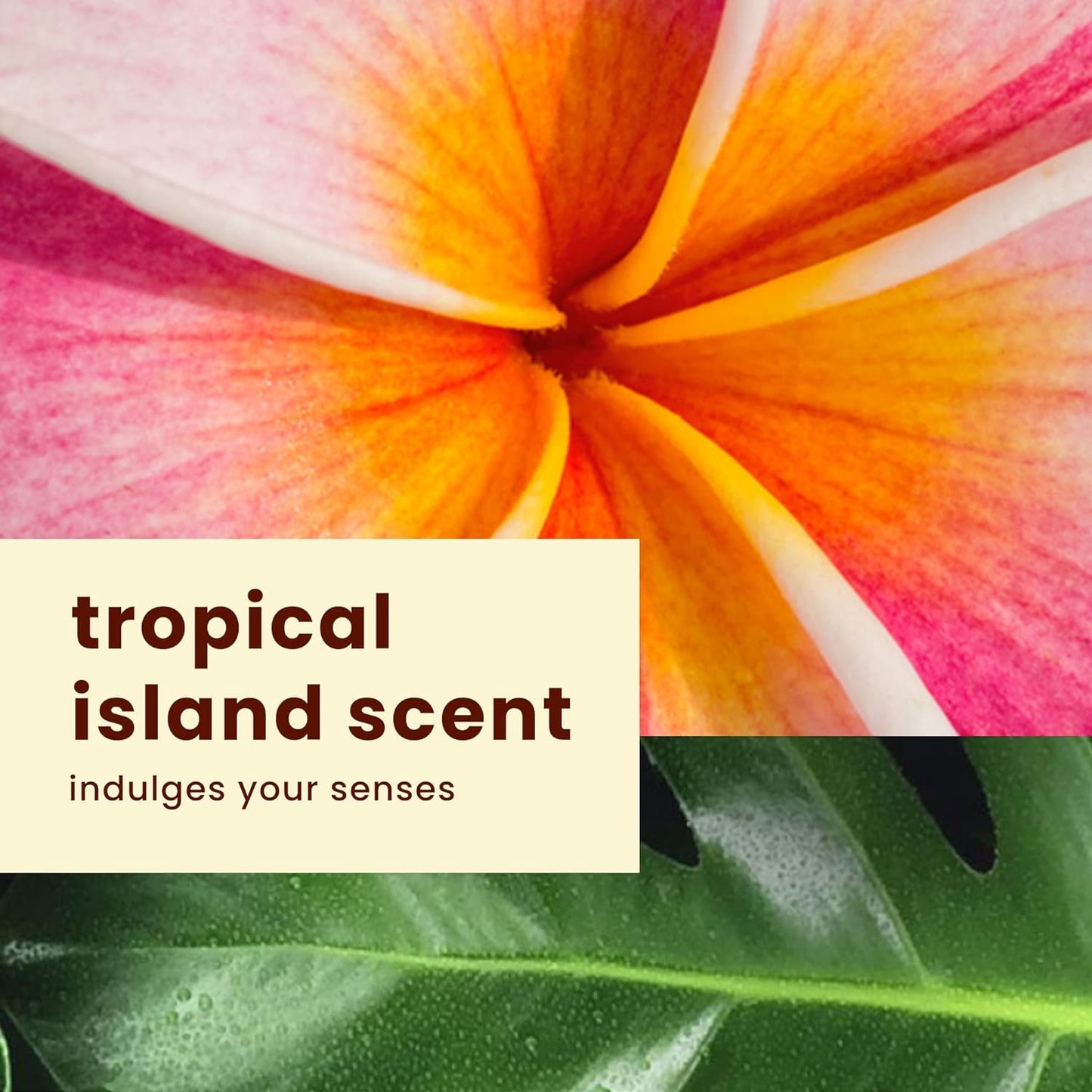Hawaiian Tropic Island 8 Ounce Sport Broad Sunscreen Lotion with SPF 50 8 fl oz