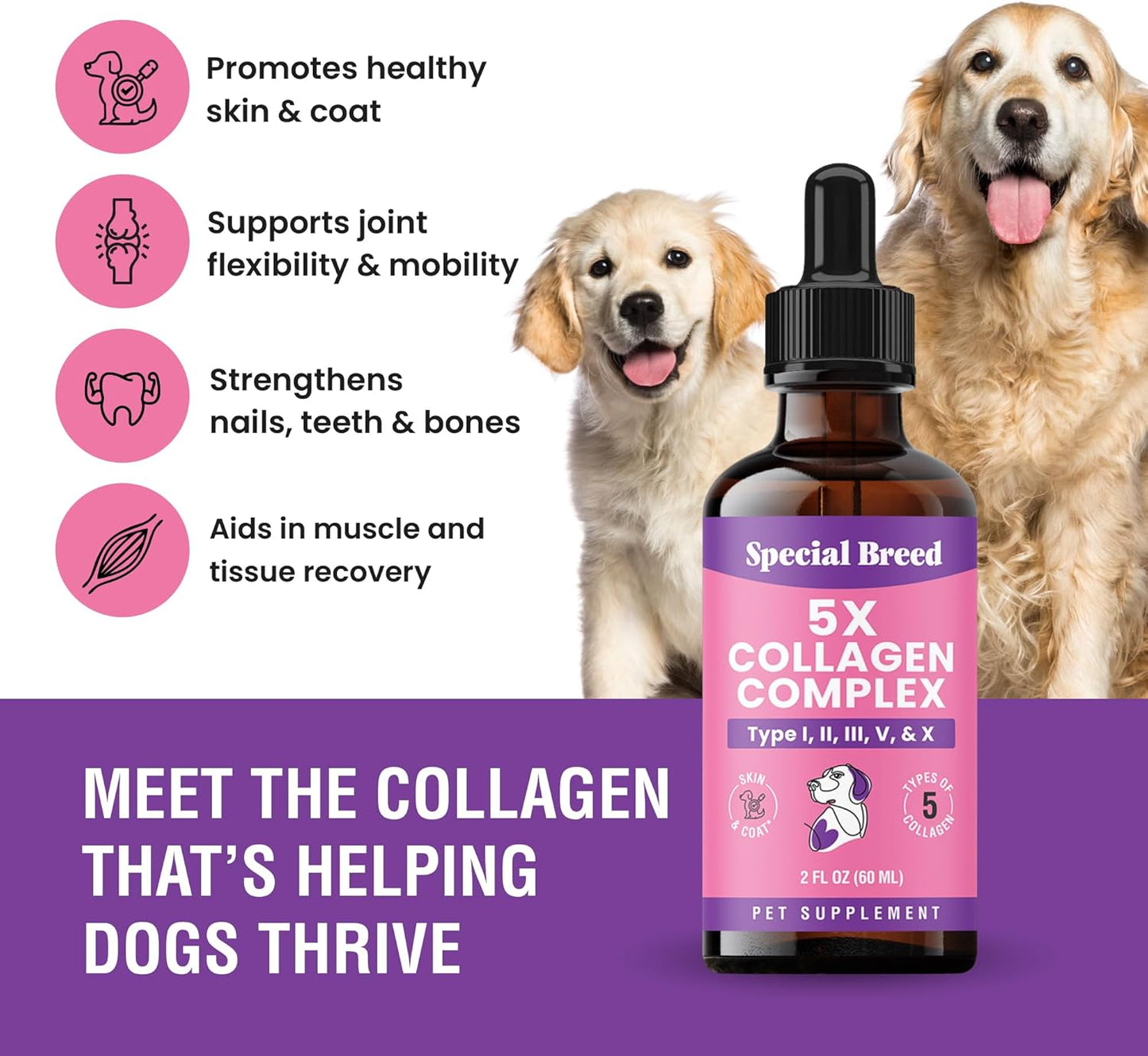Premium Collagen for Dogs -- 2oz