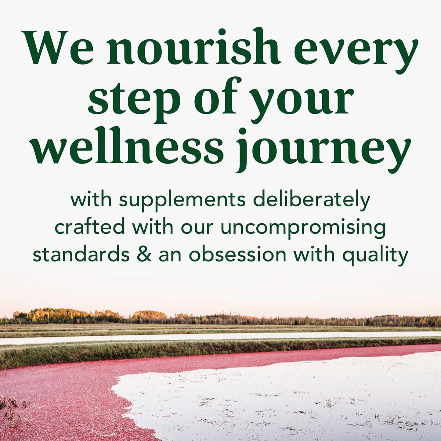 MegaFood B12 Energy Gummies - Supports Energy Metabolism 70 count