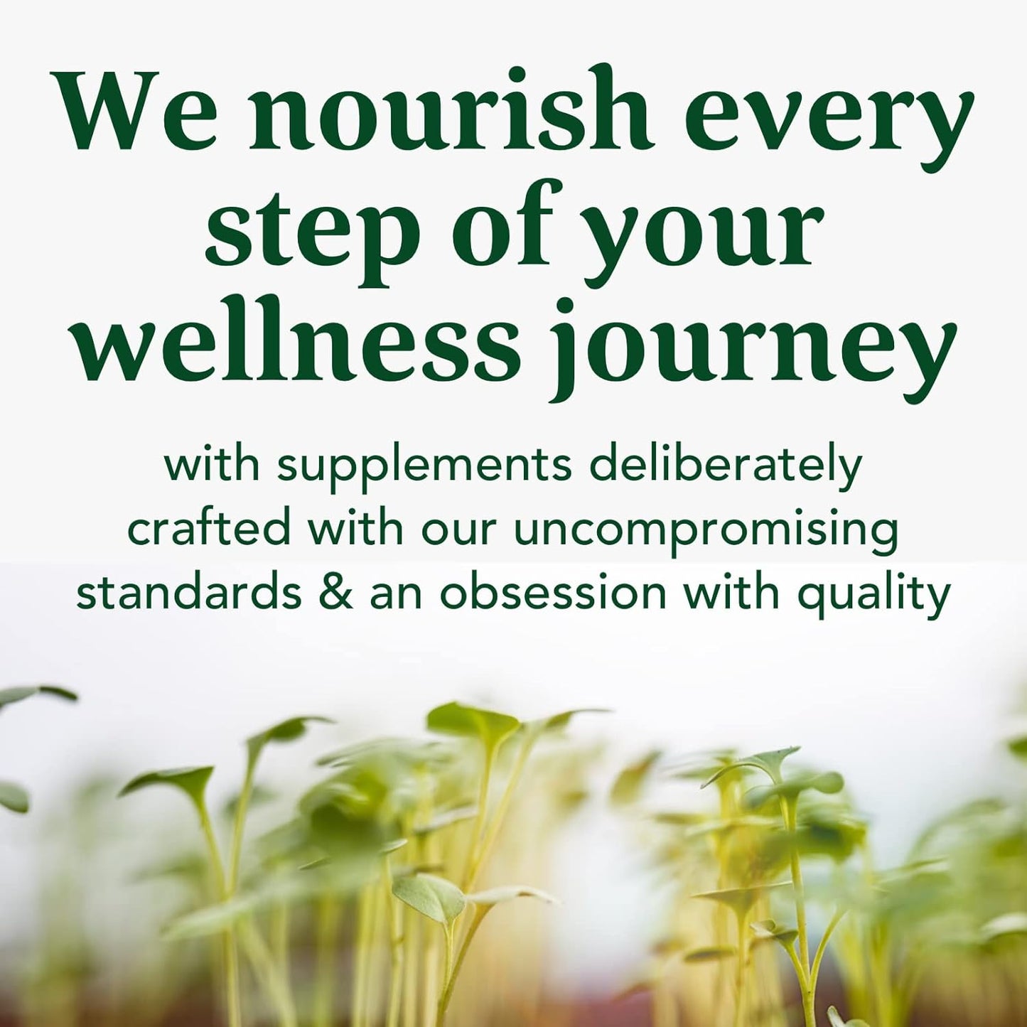 MegaFood Daily Immune Support - Immune Support Supplement 60 Tabs