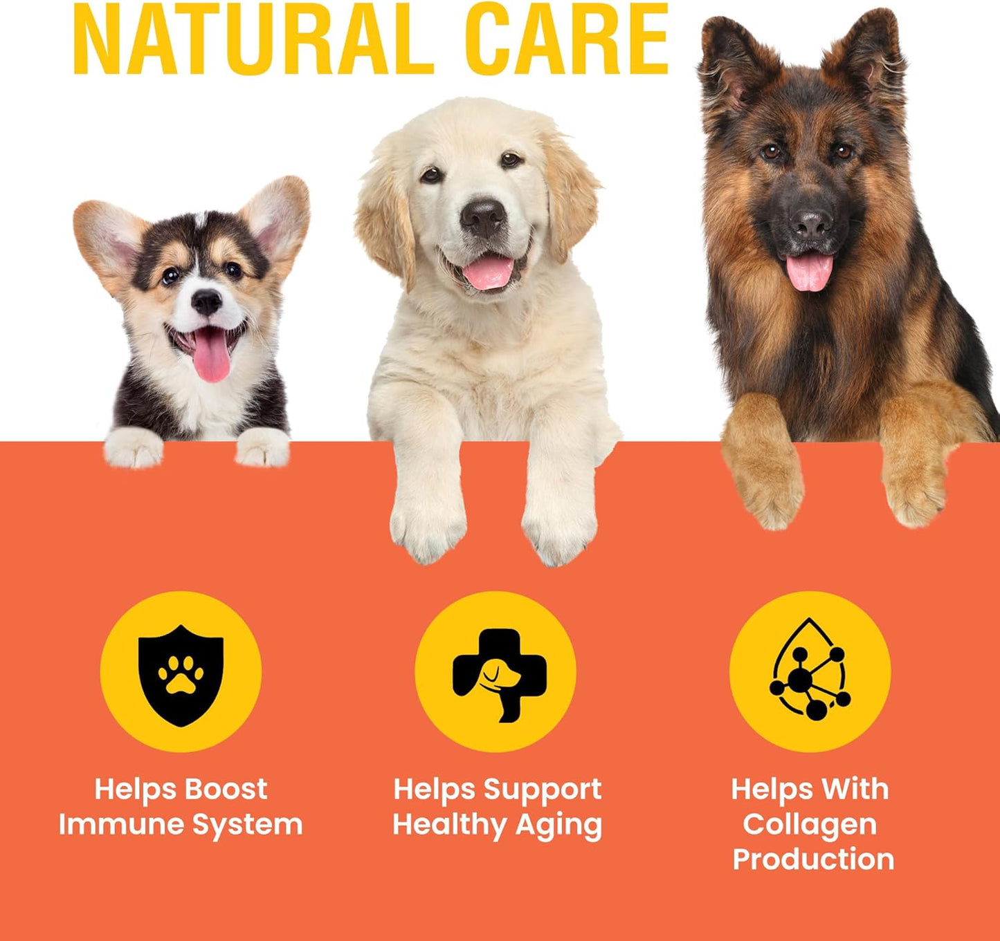 Vitamin C for Dogs, Helps Support Immune System Bacon Flavored, 2oz