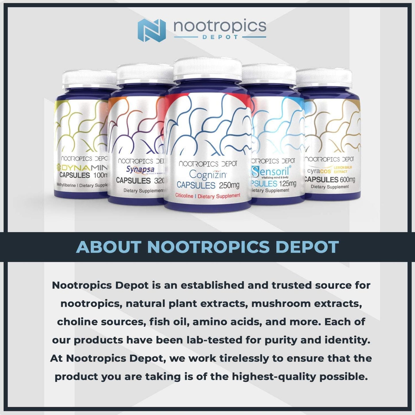 Nootropics Depot Quercetin 120 Tablets