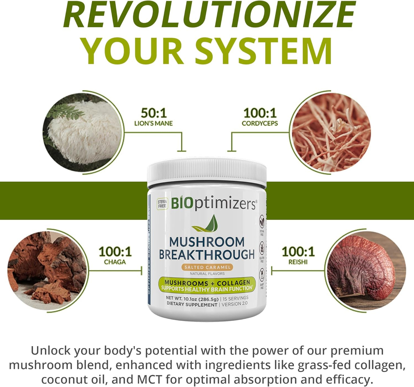 BiOptimizers – Mushroom Breakthrough - Salted Carame -286 g