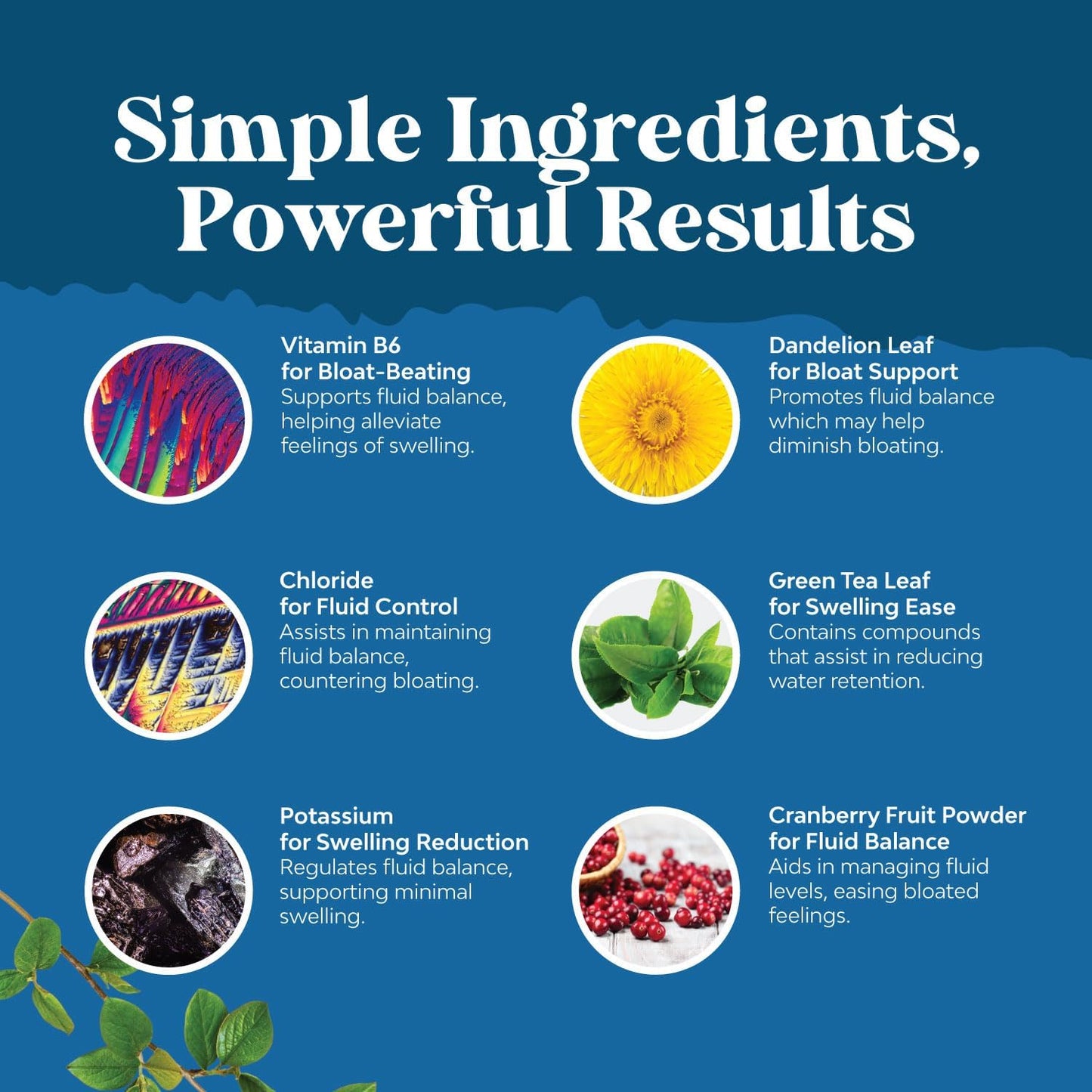 Water Away Pills Maximum Strength - Herbal Diuretic 90 capsules