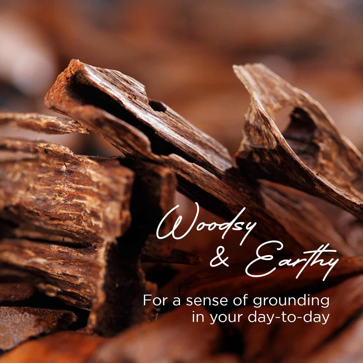 Gya Labs Sandalwood Essential Oil Roll-On - Woodsy, Earthy Scent