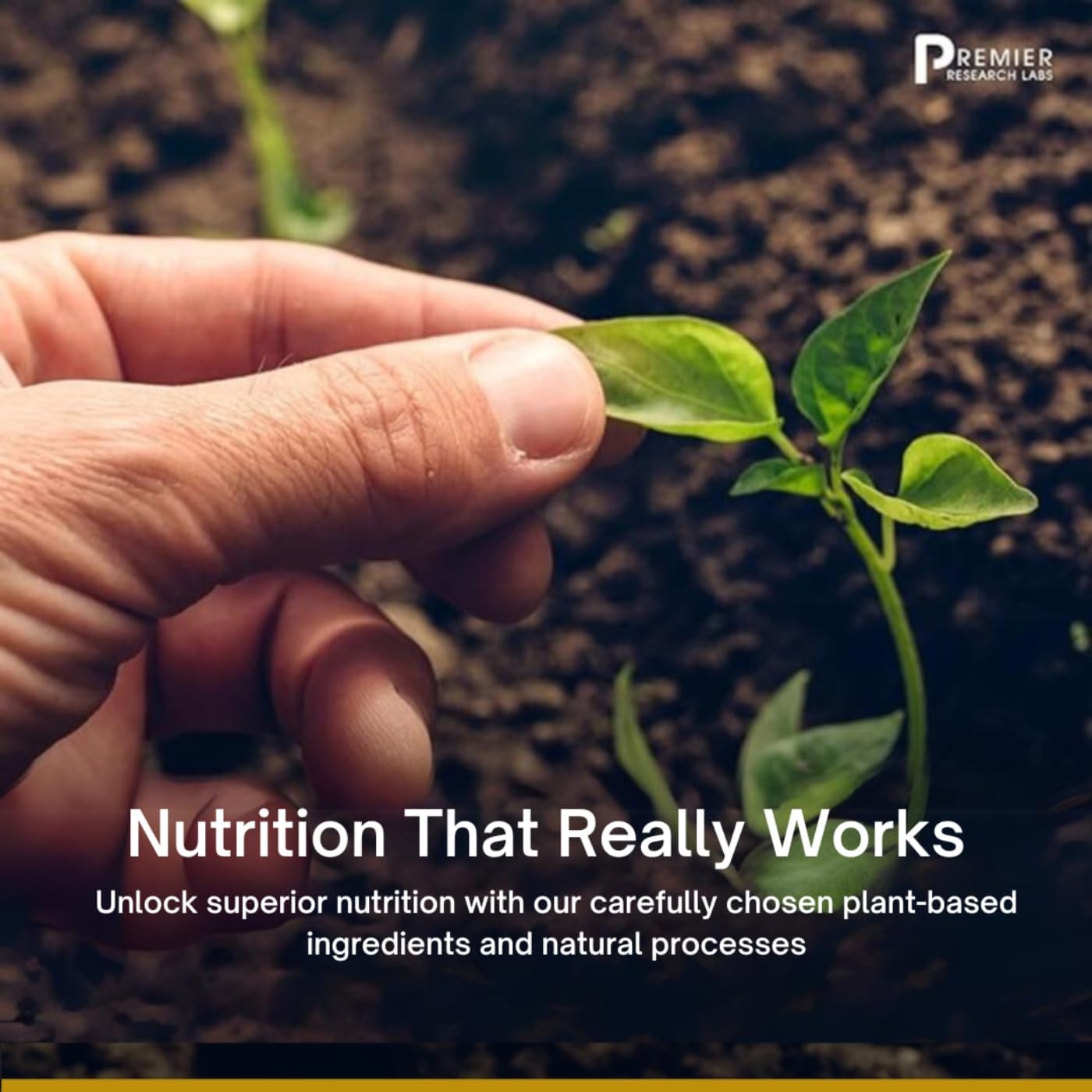 Premier Research Labs Digestase-SP - 6 Enzymes for Digestion - 60 Plant-Source Capsules