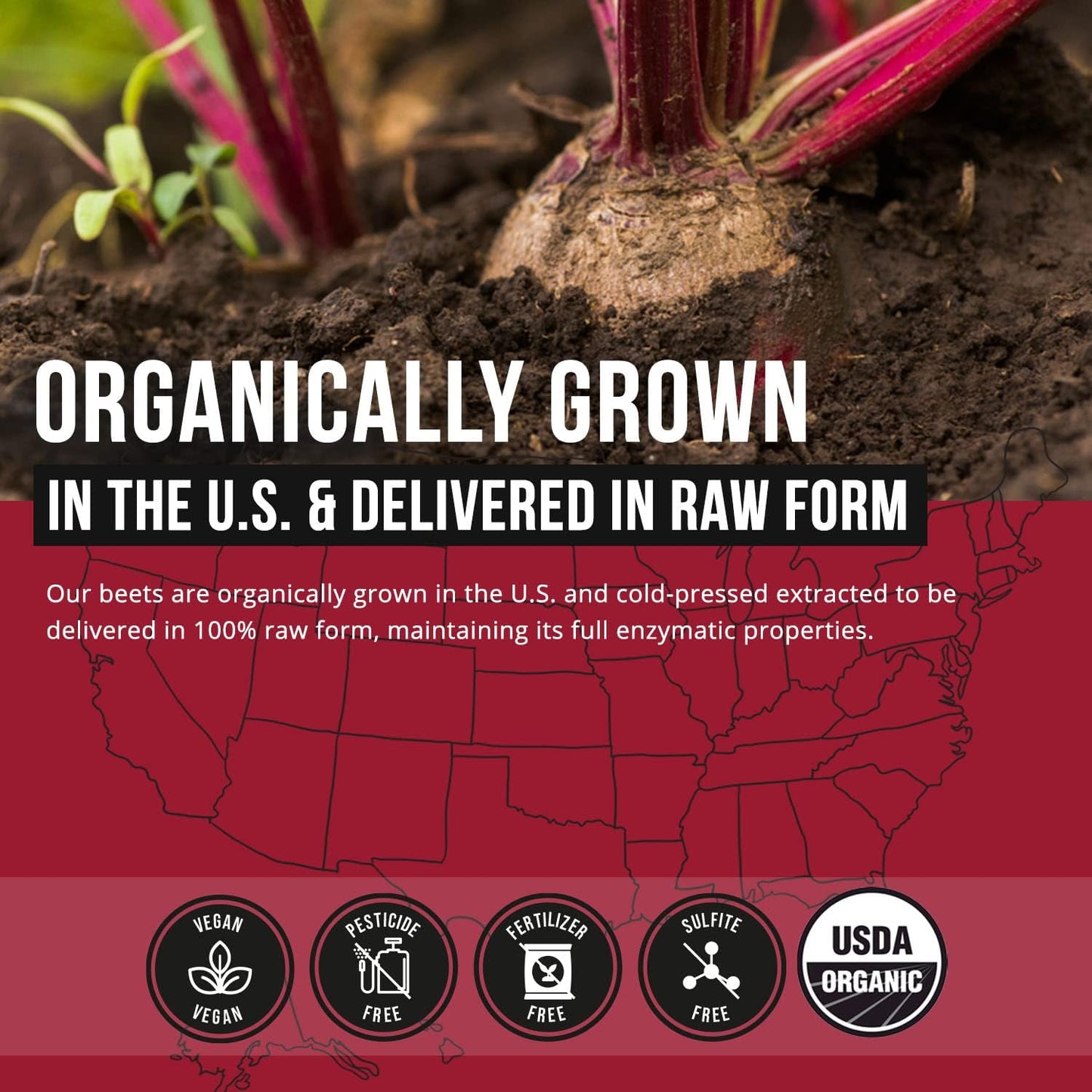 BioBeet® Max Strength Beet Root 60 Capsules