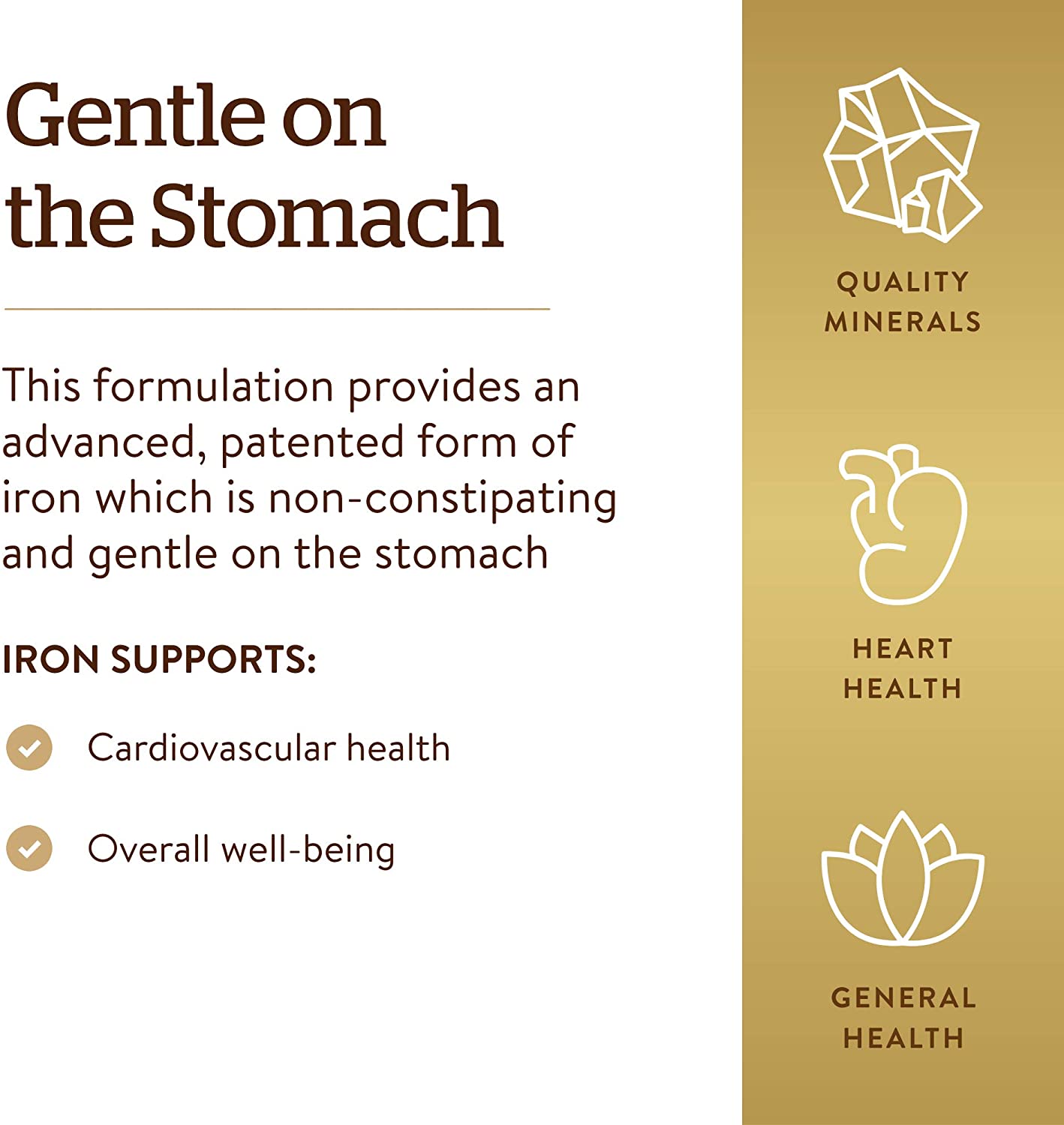 Solgar Gentle Iron Vegetable Capsule , 180 Count