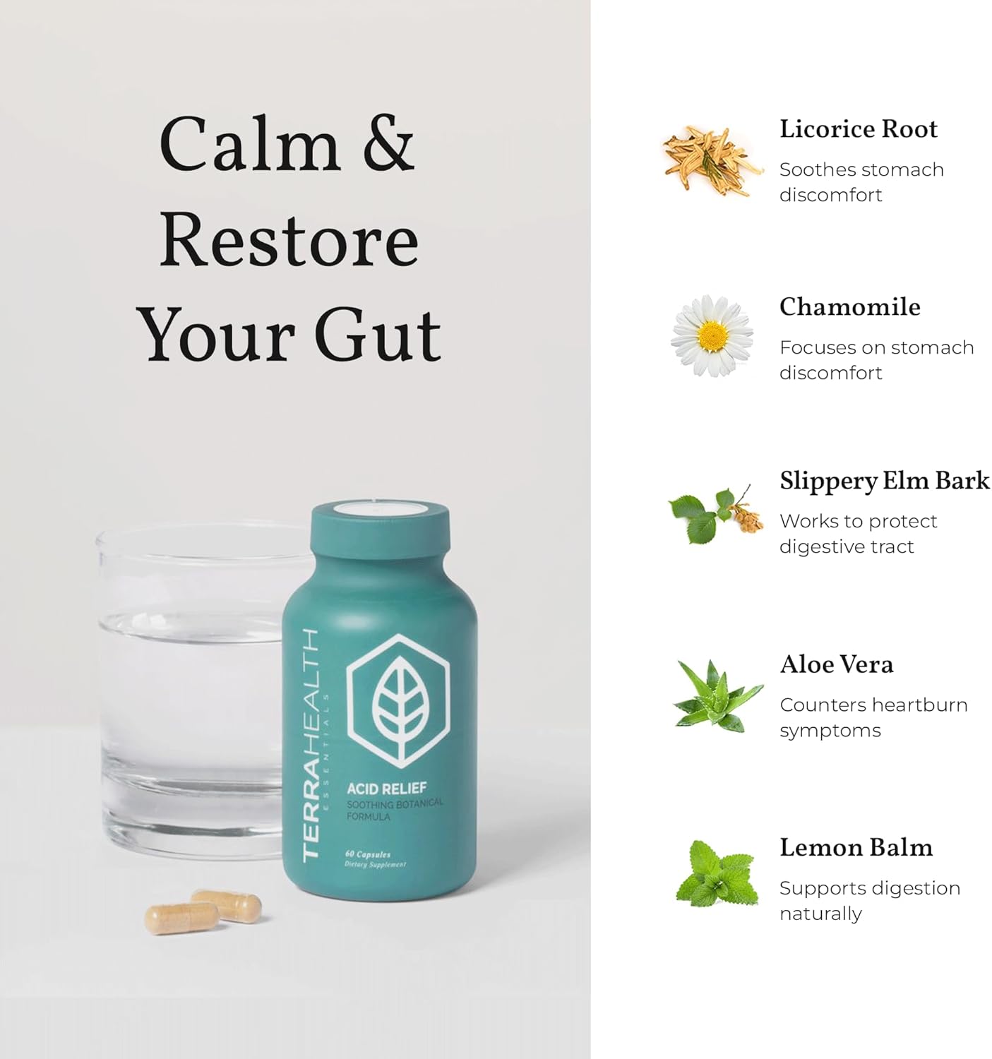 Terra Health Essentials - Acid Relief 60 capsules