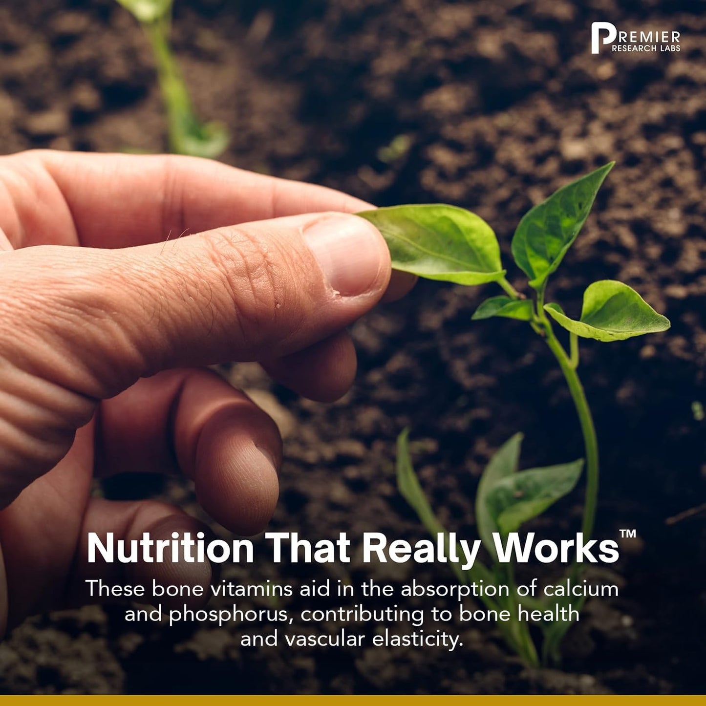 Premier Research Labs: Vitamin D3 + K2 Supplements -30 Plant-Source Based Capsules