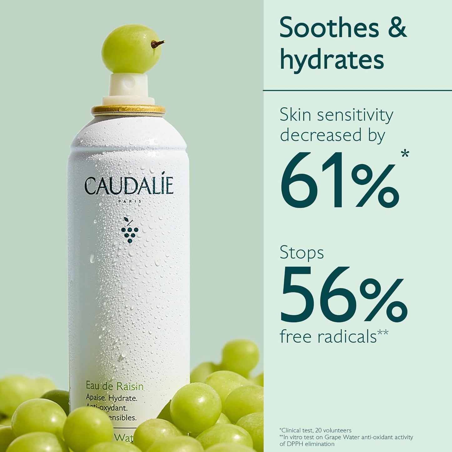 Caudalie Grape Water Moisturizing Face Mist Travel Size - 75 mL