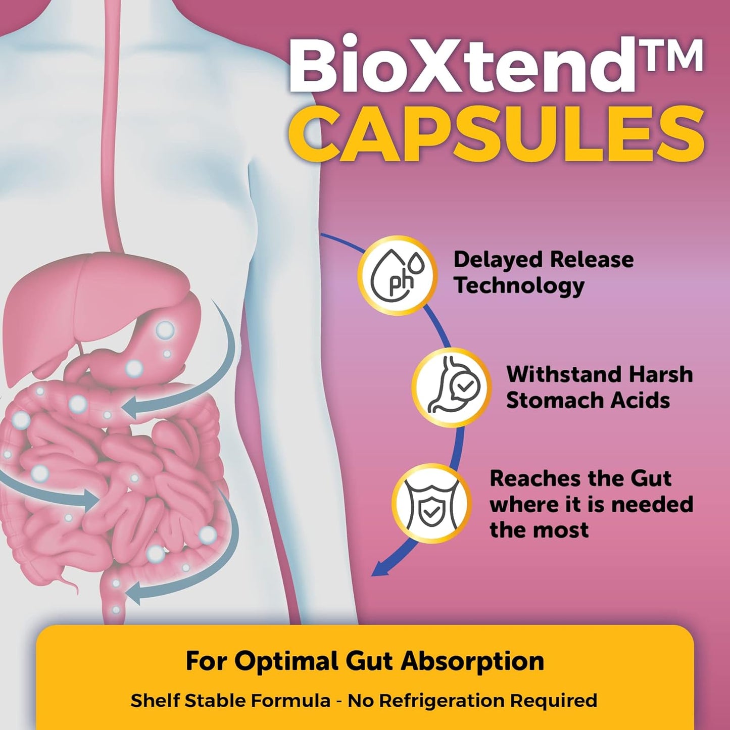 Womens Probiotics For Gut Health With Prebiotic Fiber, Cranberry and Vitamin C 60 count