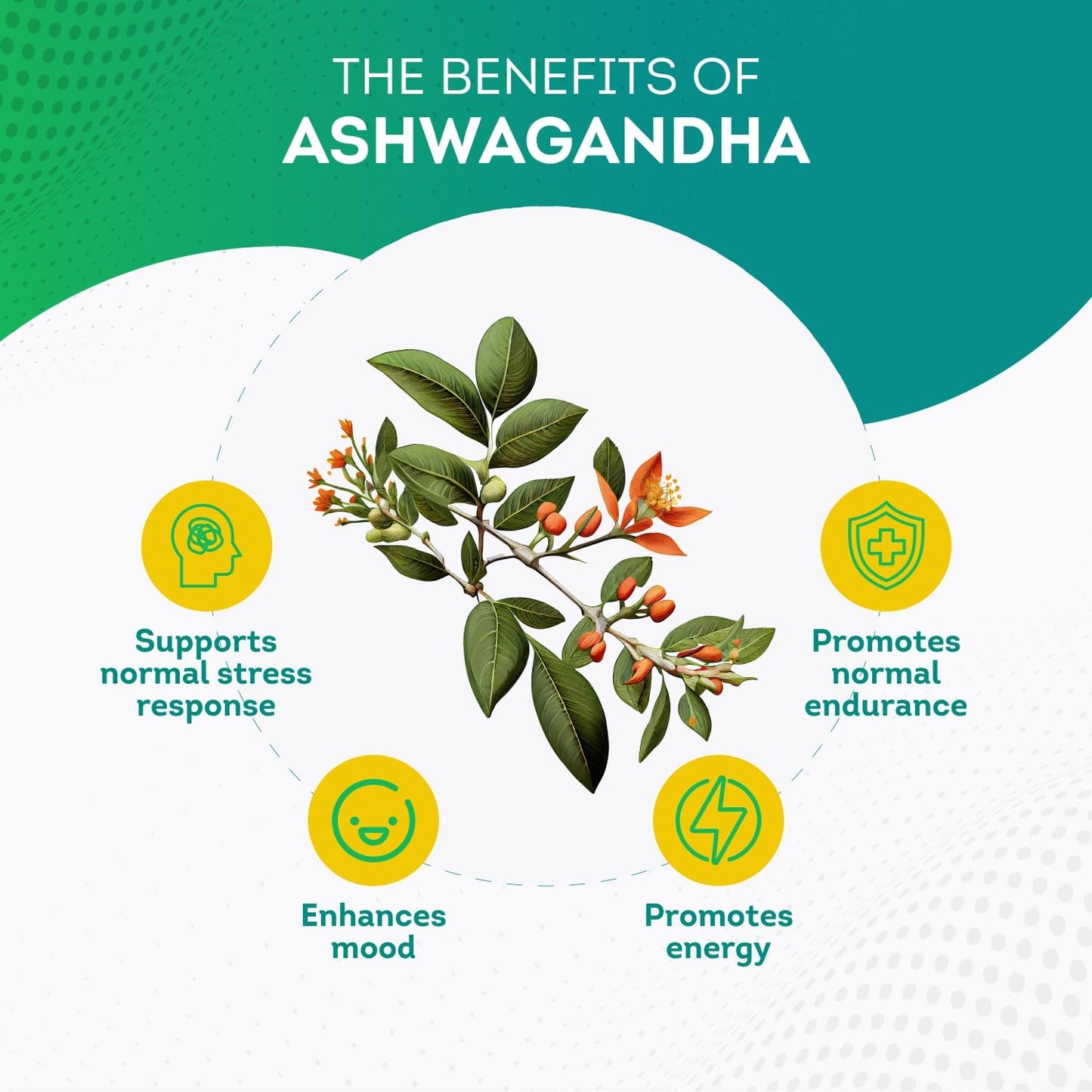 PurePremium Adrenal Support Supplements with Ashwagandha Root Extract - 60 Capsules