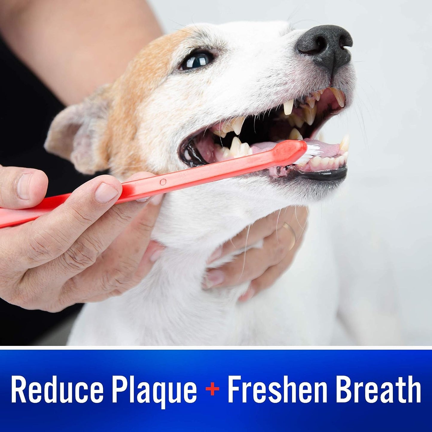 Virbac C.E.T. Enzymatic Toothpaste Eliminates Bad Breath Pet Dental Care Toothpaste Vanilla Mint Flavor 2.5 Oz Tube