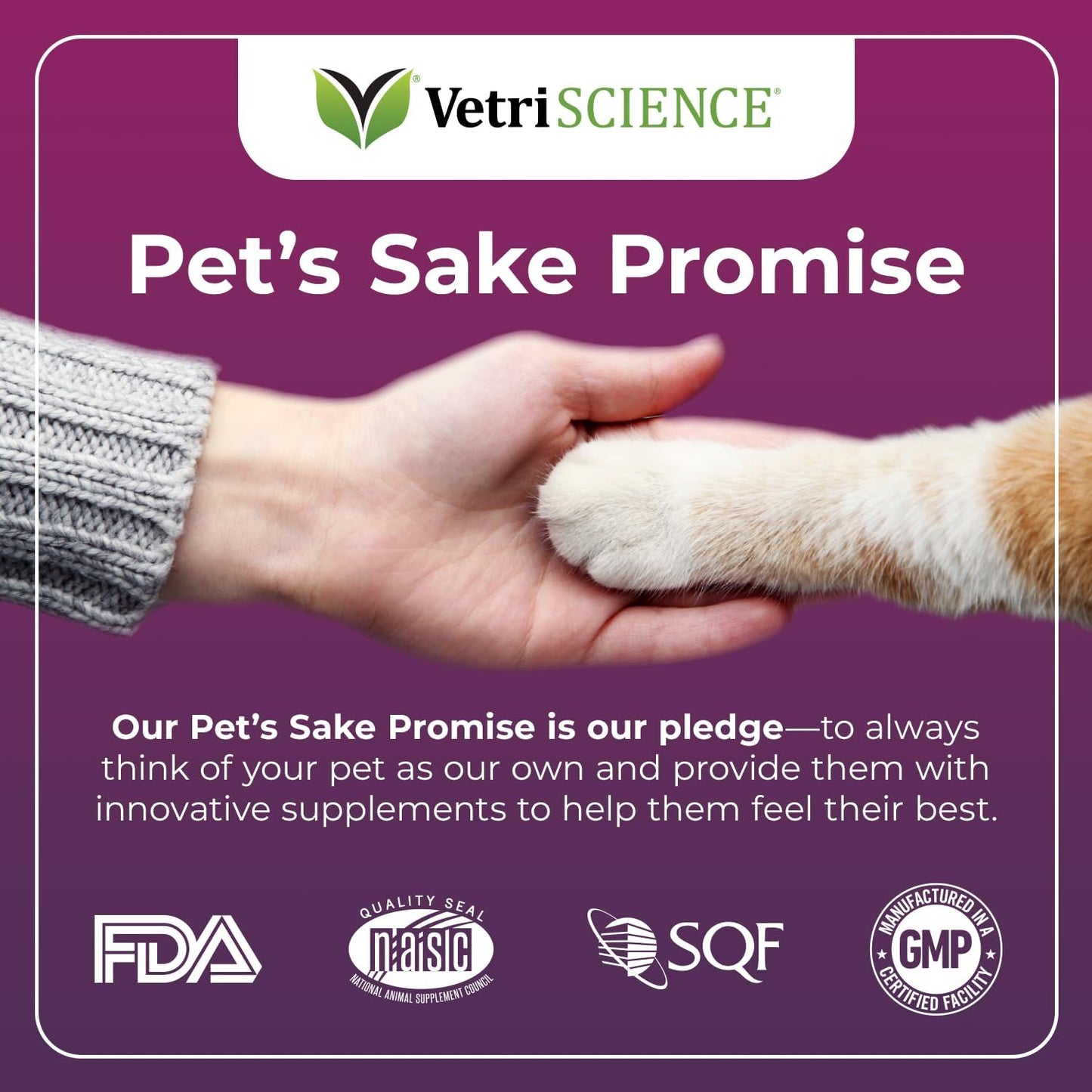 VetriScience Vetri Lysine Plus Immune Support Cat Supplements - 120 Chews