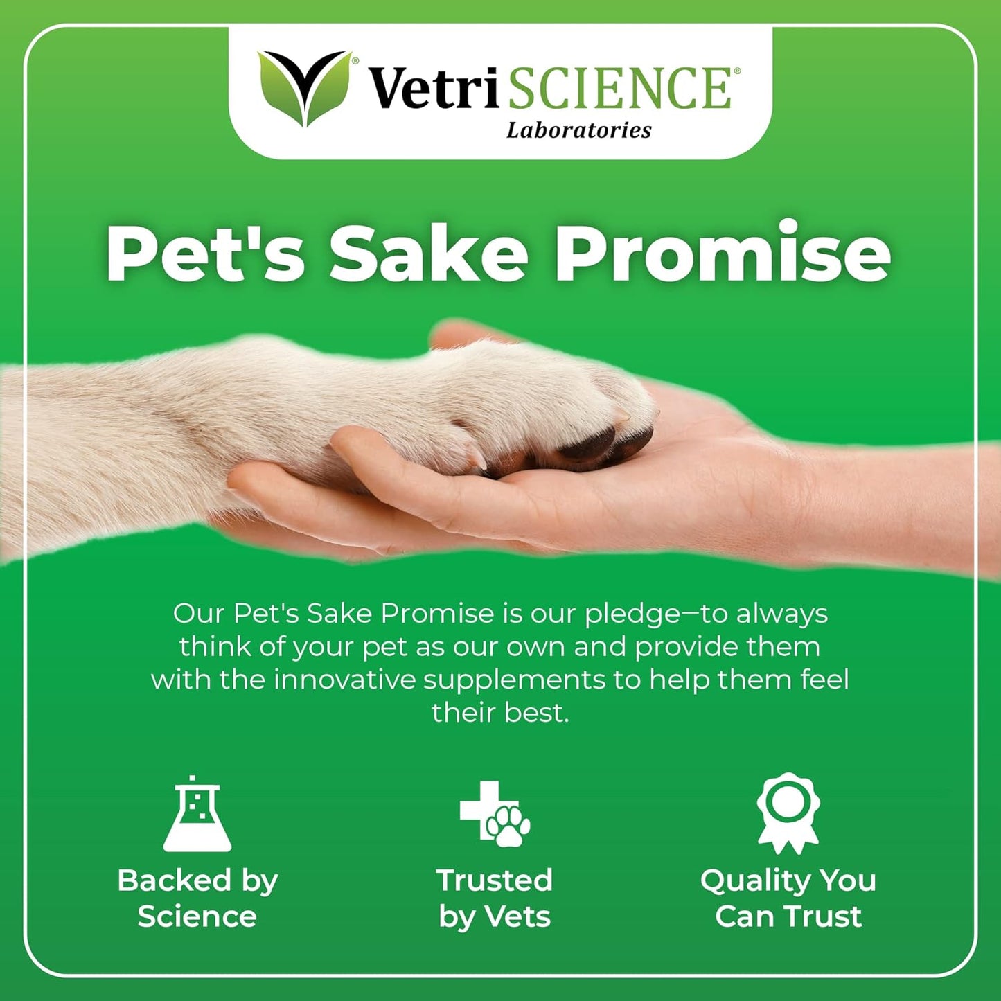 VetriScience Derma Strength Healthy Skin and Coat 70 Chews
